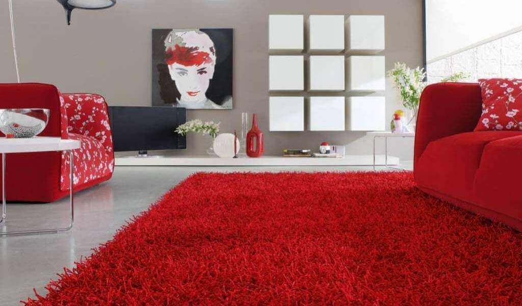 Area Rug Cleaning