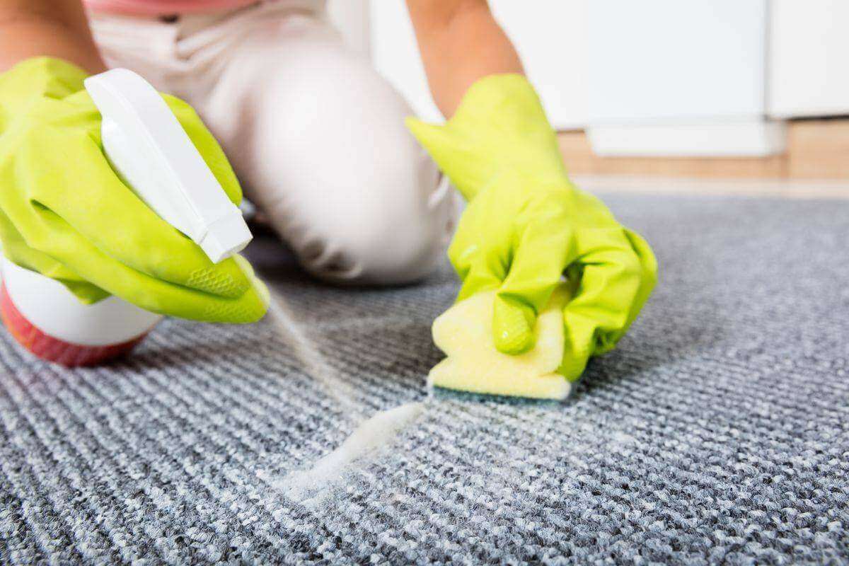 Carpet Cleaning
