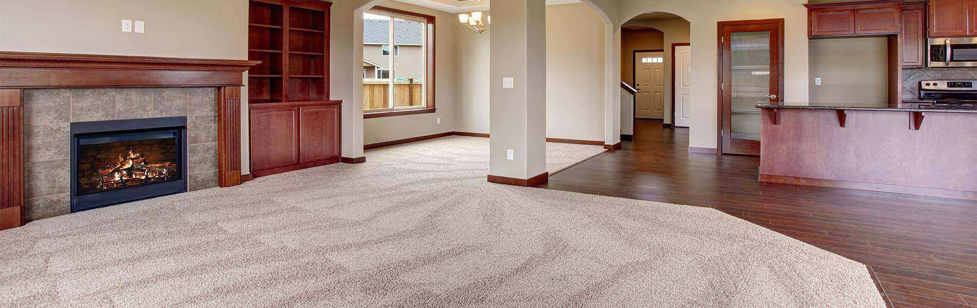 Carpet Cleaning