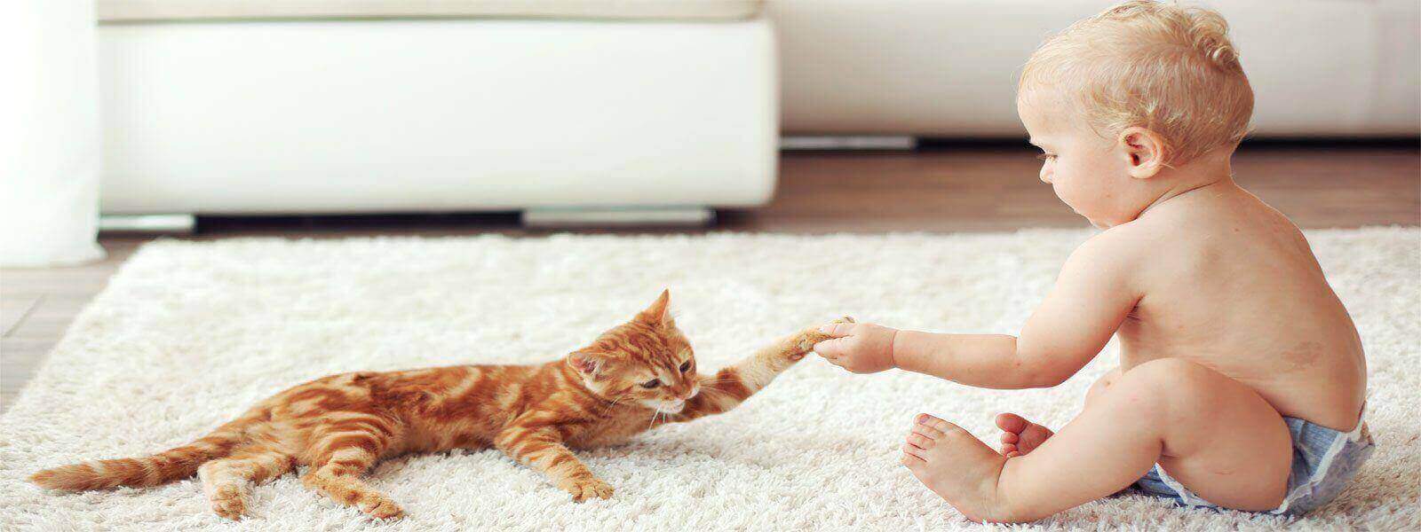 toddler playing on clean carpet